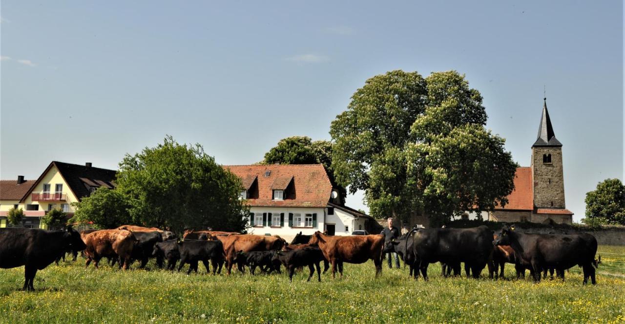 Schaefer'S Ferienhof Michaelsberg Gundelsheim  Eksteriør bilde